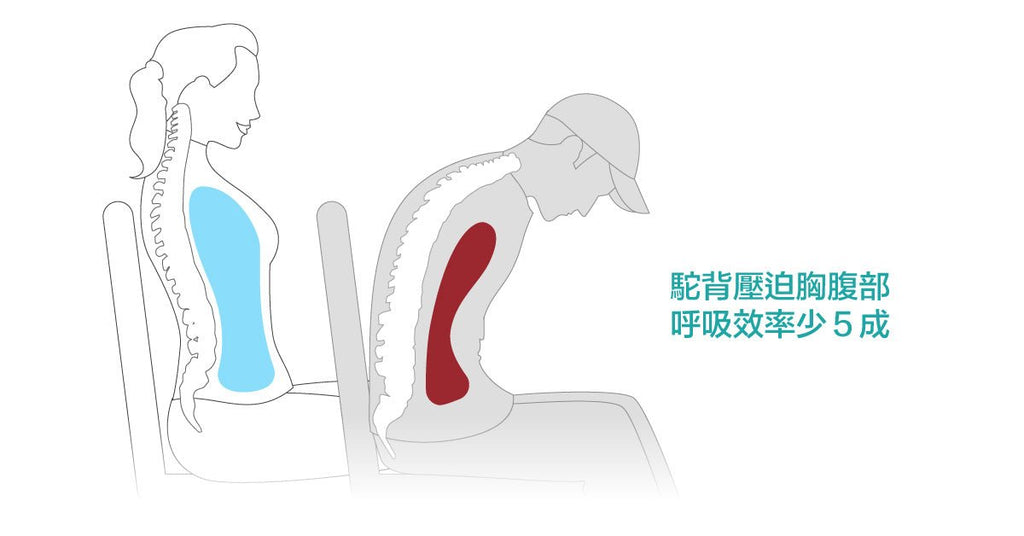 養成正確呼吸習慣，脊椎健康背部輕鬆 - Bestmade 人學院