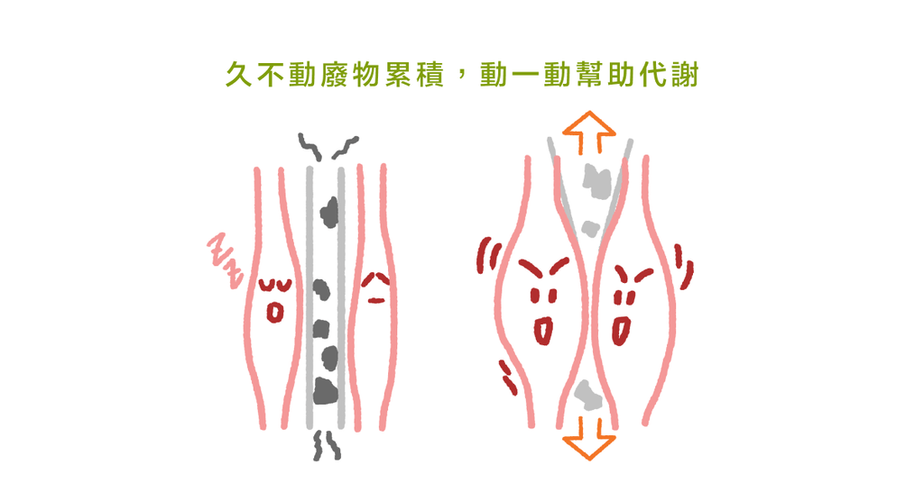 久站久坐痠痛的秘密：長時間不動，肌肉就像是「充滿廢水的海綿」！ - Bestmade 人學院