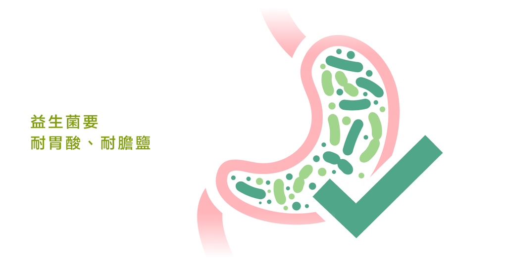 如何選擇益生菌？益生菌博士：選對菌種與菌數很重要！ - Bestmade 人學院