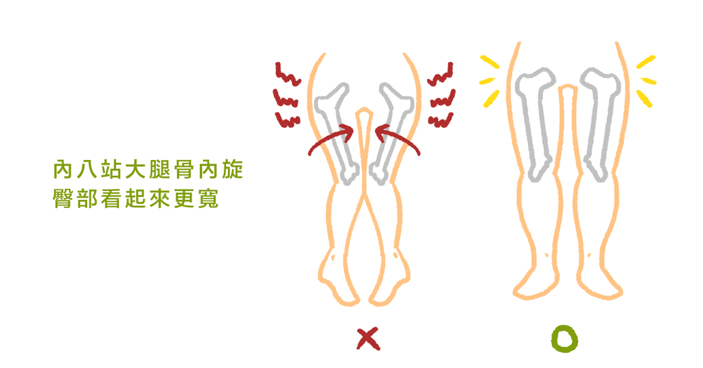 為什麼我的臀部這麼寬？（上）：物理治療師告訴你造成假胯寬的原因 - Bestmade 人學院