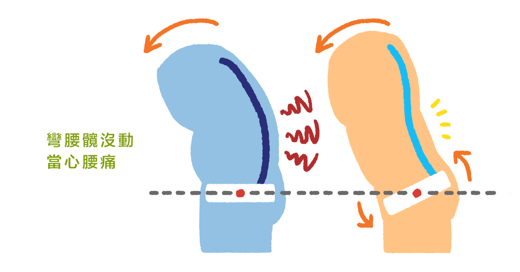 常見的腰椎角度改變二大原因 - Bestmade 人學院