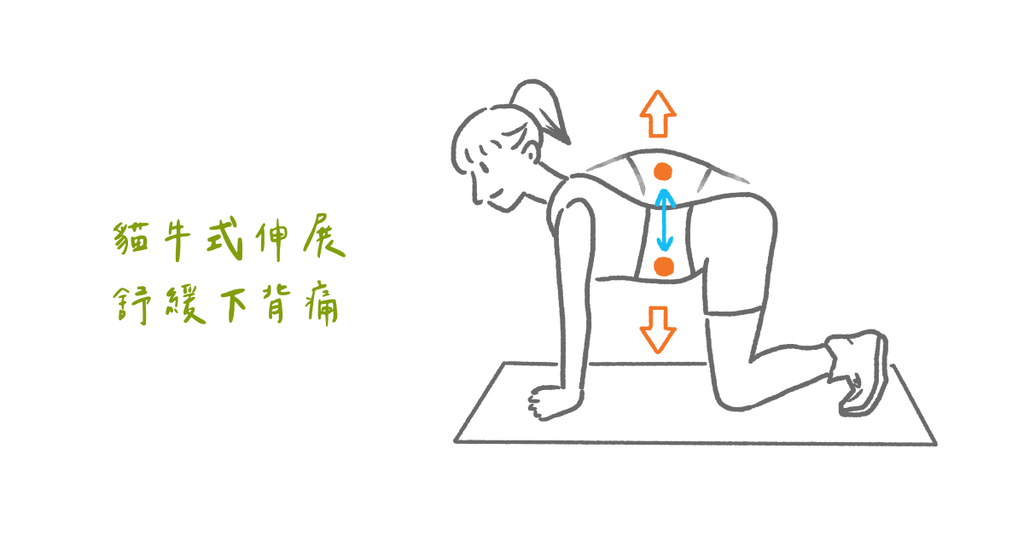 總是腰痠？腰痛？圖解下背痛位置與常見原因（下） - Bestmade 人學院