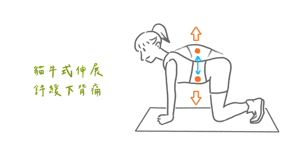 總是腰痠?腰痛?圖解下背痛位置與常見原因(下)